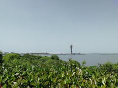 -吴淞炮台湾湿地森林公园烧烤区