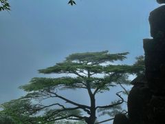 -萍乡武功山风景名胜区