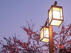 -颐和路民国时期公馆风貌区
