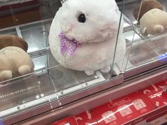 -LLJ夹机占(清河万象汇店)
