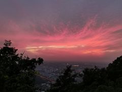 -惠山国家森林公园