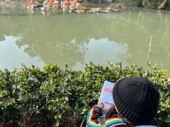 -宁波野生动物园