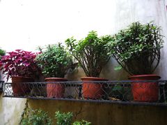 -国生茶庄·地道农家菜团建活动