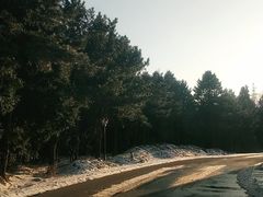 -四明山国家森林公园