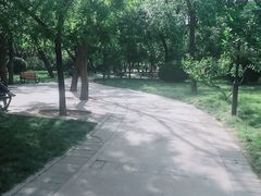 -元大都城垣遗址公园