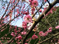 -中共上海市委党校 上海行政学院