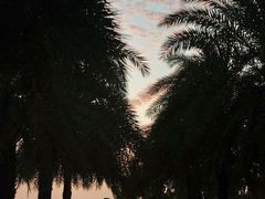 -惠州金海湾嘉华度假酒店