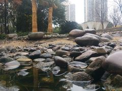 -苏州河梦清园环保主题公园