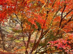 -崂山九水游览区