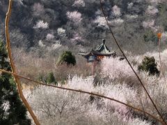 -北京西山国家森林公园