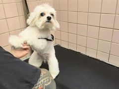 -FAELING PETS美天灵宠物(富力广场店)