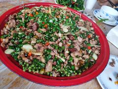 -东吴霸王兔(松青路店)