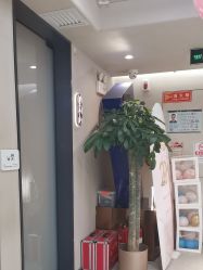 -木北造型