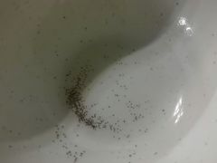 -恩宁刘福记(东华东路店)