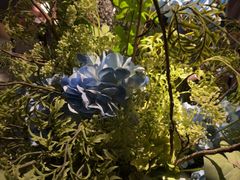 -唐宫足道·SPA·住宿24H会所(木渎店)