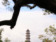 -江心屿景区