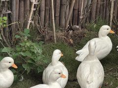 -HERRE·FARM 赫尔露营农场·团建聚会包场