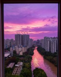 -安馨无忧月子中心(青秀店)