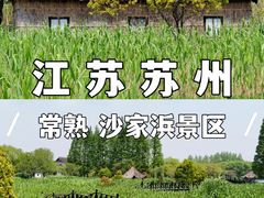 -沙家浜风景区