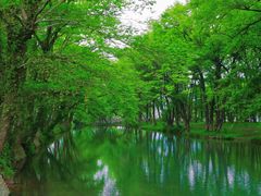 -西溪南古村落景区