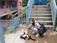 -石井坡(地铁站)