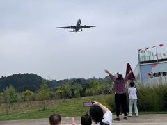 -空港花田景区