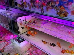 -青石桥花鸟鱼虫市场(叠翠城店)