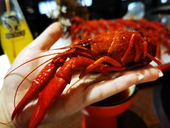 -虾弄弄海派小龙虾·牛羊蝎子火锅