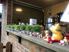 -柴犬高等学院·狗咖·柴犬售卖·宠物训练