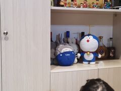 大堂-大成铁板烧•板前(复古餐厅石老人店)