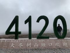 -大冬树山垭口