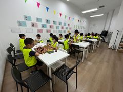 -常青藤国际象棋(新奥店)