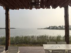 -天津东丽湖风景区