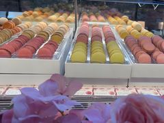 -Pierre Marcolini(德基广场店)