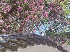 -深圳国际园林花卉博览园