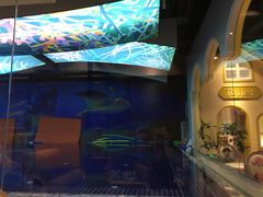 -ABC Swim亲子游泳俱乐部(河西店)