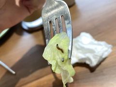 -川岛屋·KAWASIMAYA·咖啡简餐