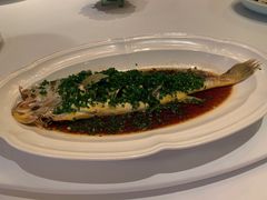 家烧野生黄鱼-福1015(愚园路店)