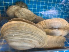 -渔人湾码头海鲜市场负二楼