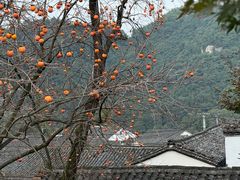 -丹山赤水风景名胜区