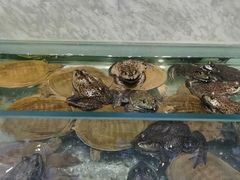 -川骄海鲜自助(河东店)