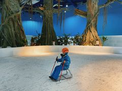 -广州热雪奇迹