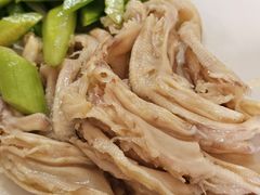 -鸭味飞飞