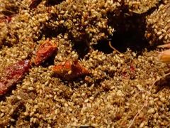 -壹酒贰肉1926·深夜食堂(南京北街店)