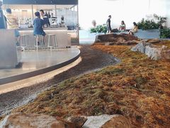 -Seesaw Coffee(朝阳大悦城店)