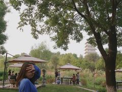 -Supine Bistro溯泮餐厅