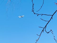 -庆丰包子铺(百旺店)