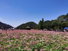 -广州市石门国家森林公园