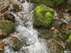 -本溪汤沟绿石谷森林公园