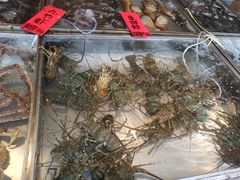 -湛江渔港·大排档(乐园路总店)